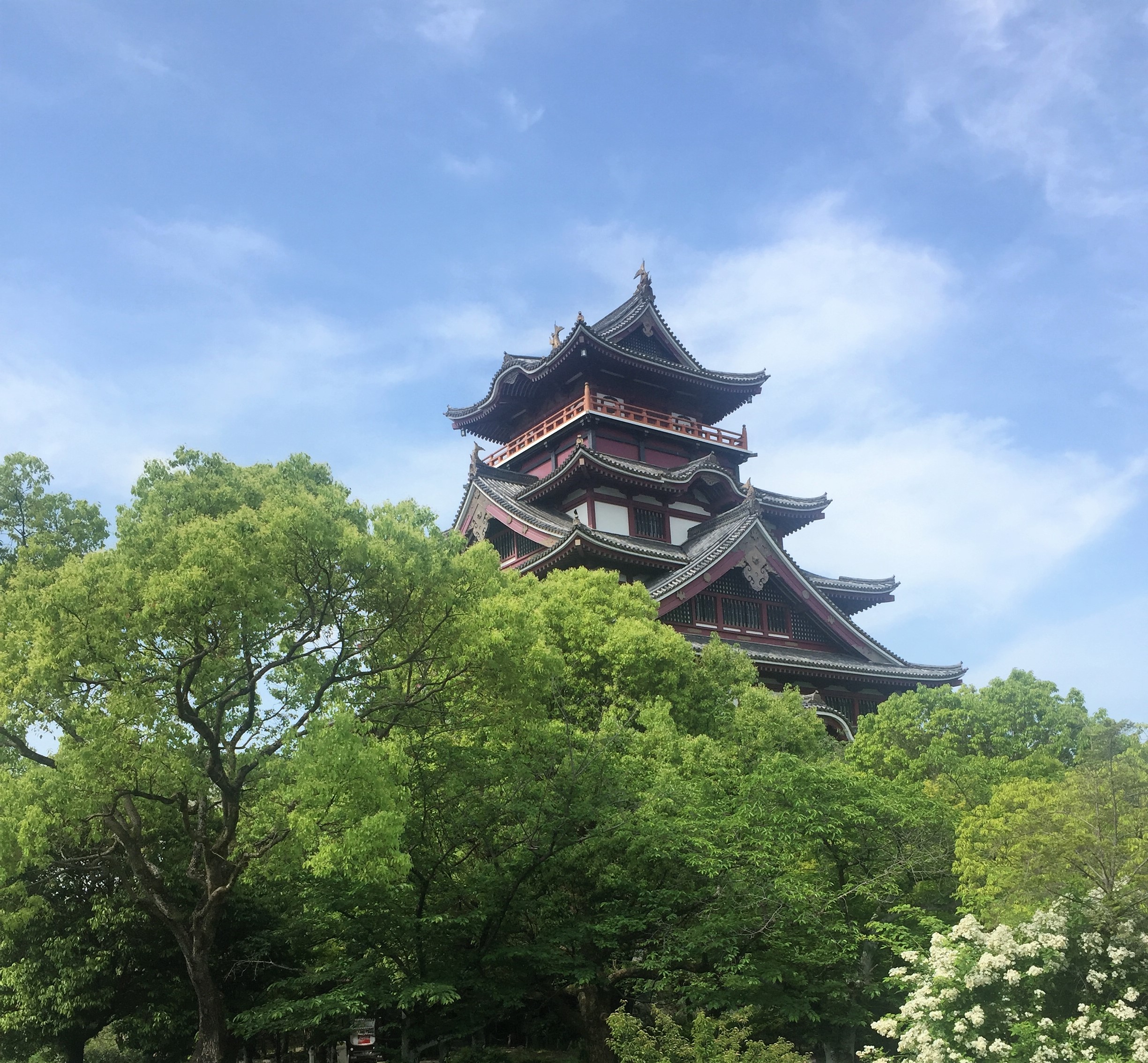 Compartiendo una pasión