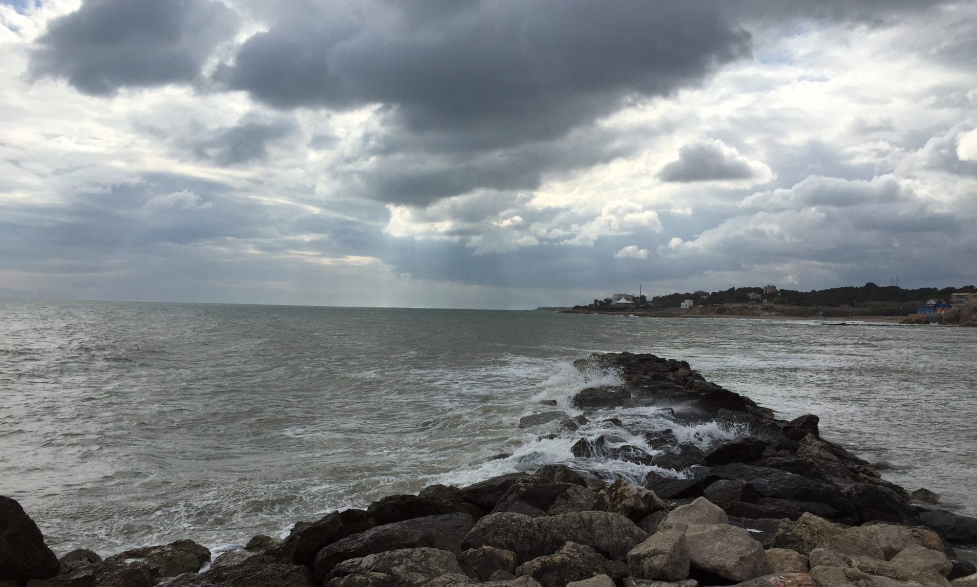 Compartiendo una pasión