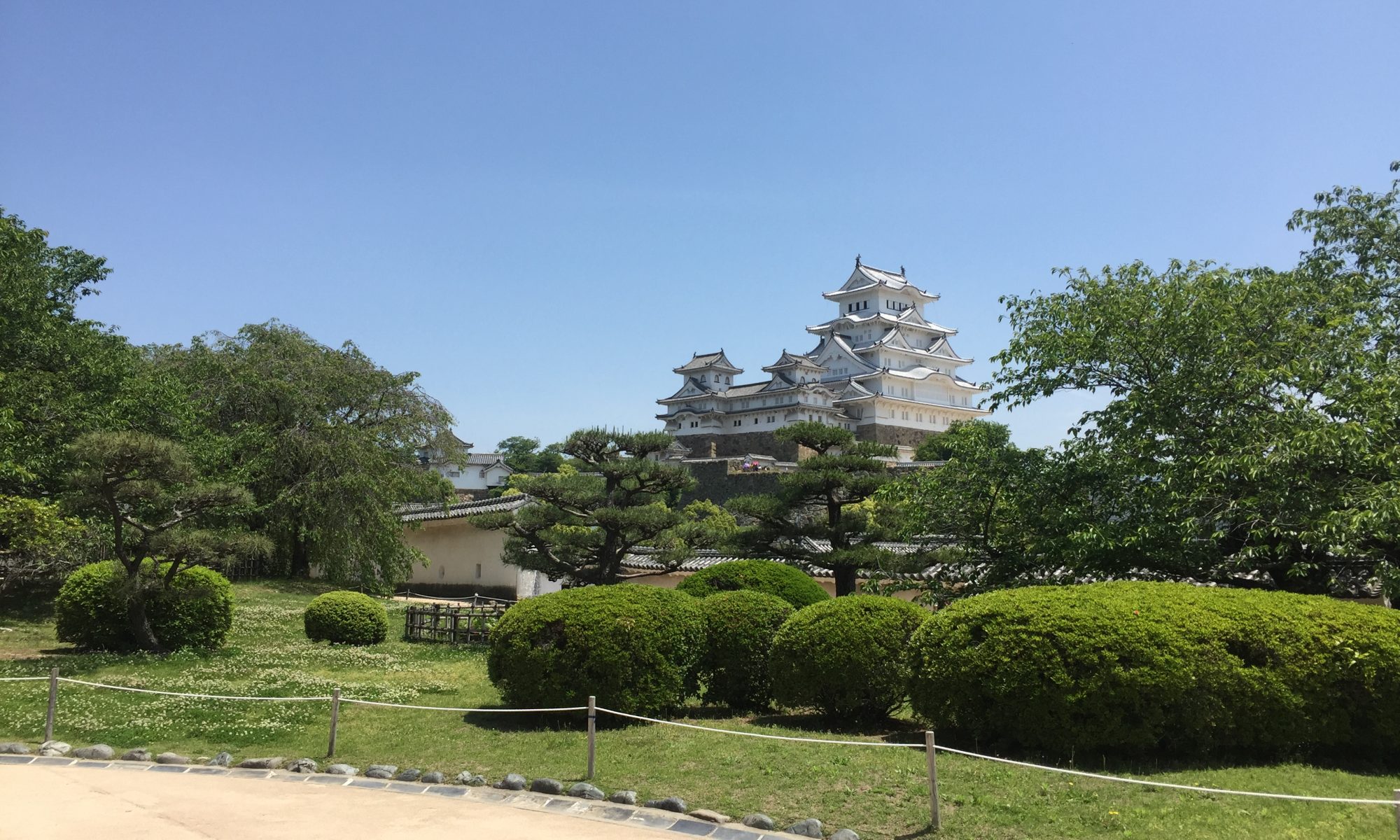 Compartiendo una pasión