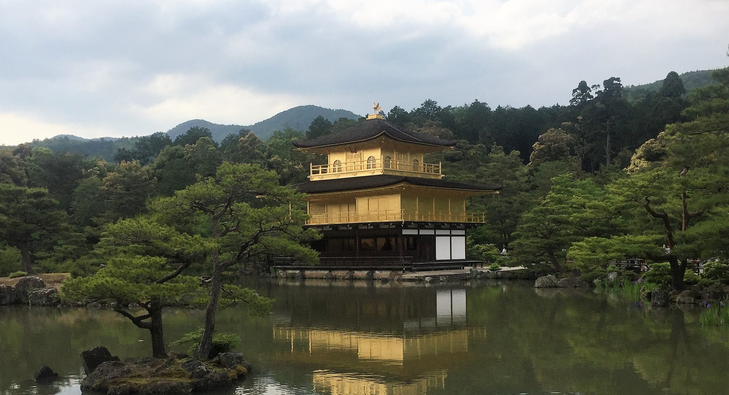 Compartiendo una pasión